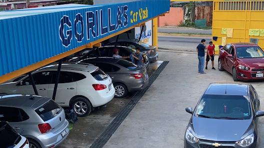 Gorilla’s Car Wash